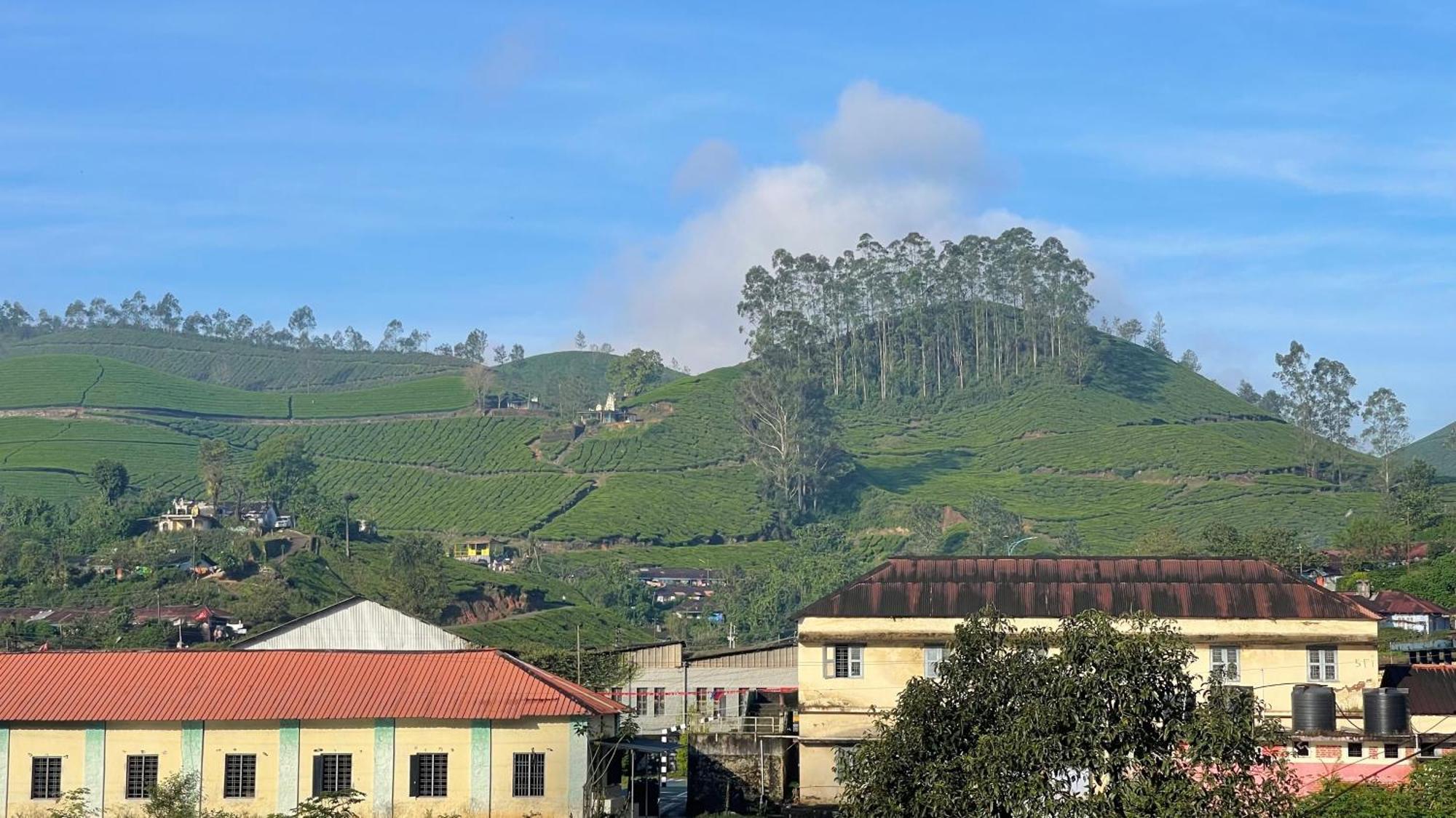 Green Ridge Munnar Εξωτερικό φωτογραφία